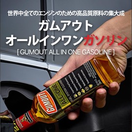 Gumout 510016 All-in-ONE Complete Fuel System Cleaner, 10oz. (Pack of 6)