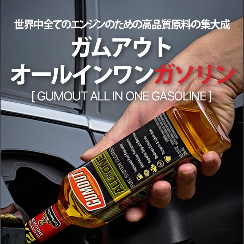 Gumout 510016 All-in-ONE Complete Fuel System Cleaner, 10oz. (Pack of