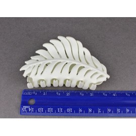 Cream Off-White leaf hair clip claw butterfly clamp 3 5/8 inches long open cut out leaves vine matte