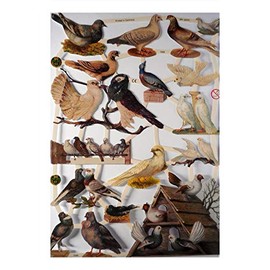 Glanzbilder EF 7299 Bird Grey White Dove Posie Pictures Decoration 807