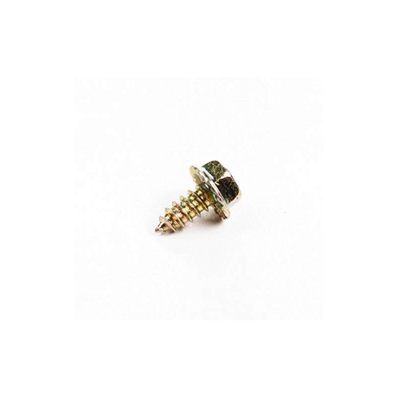 Briggs & Stratton 699203 Screw Replacement Part