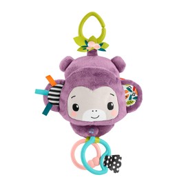 Fisher-Price Baby Juguete para Bebés Changuito Musical para bebés de Recién Nacido en adelante                                                        