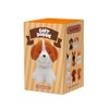 [12 Boxes Set] Vinyl Small Cute Animals Characters Figures Bath