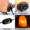 Tiqian 2-Pack Salt Lamp Cord Replacement, 5-Foot Long with Dimmer