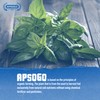 Apsogo Basil - Dried Organic Basil from Greece - Premium