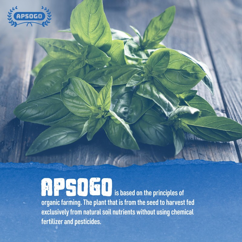 Apsogo Basil - Dried Organic Basil from Greece - Premium