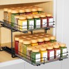 RCHYFEED Spice Organization for Cabinet,2 Tier Pull out Spice Rack