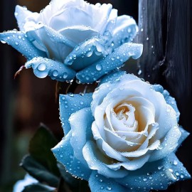 JQBay 20pcs Broken Ice Blue Rose Seeds - Unveil the Beauty of Unique Blue Blooms