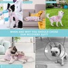 comwish Dog Surgery Recovery Suit, Post Surgery Protective Wear with