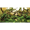 AWERT 48x24 inches Aquarium Background Branches Aquarium Background Aquatic Plant