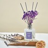 Airkeep Reed Diffuser Set,3.38 fl oz (100 ml) - Lavender