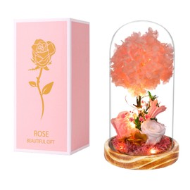 WSQCRDXW Preserved Roses with LED Lighted Glass Dome, 6 inch 3D Hydrangea Tree with Pink and White Floral Arrangement,Wooden Base,for Indoor Decoration and All Occasions to Express Love