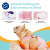 Avont 3 Pack Frenchie Dog Diapers Female, Washable Reusable Girl