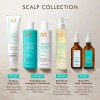 Champú Moroccanoil Scalp Balancing 250 Ml