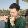 24 Holes 12 Tone C Key Harmonica Mouth Organ Musical