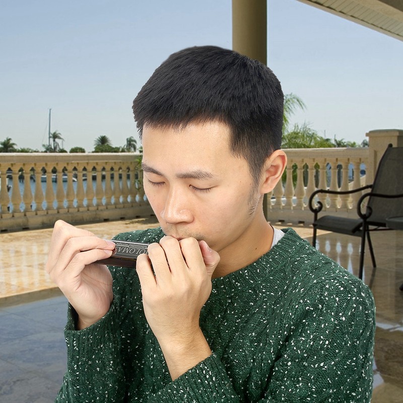 24 Holes 12 Tone C Key Harmonica Mouth Organ Musical