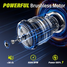 SEYVUM String Trimmer, 20V 12-inch Cordless Weed Wacker with Auto Line Feed, 2 X 2.0Ah Battery Powered Lawn Edger with 8 Pcs Grass Cutter Spool Line, Fast Charger Included, Lemon Green