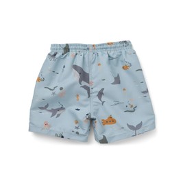 LDIOIF Toddler Boys Swim Trunks Swim Shorts Dolphin Whale Swimsuits Light Weight Swim Board Shorts Quick Dry Beach Wear 2-3T