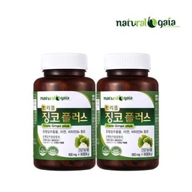 트리플 징코 플러스 60정 2박스 은행잎 영양제 Triple Ginkgo Plus 60 Tablets 2 Boxes Ginkgo Leaf Supplement