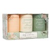 Body Prescriptions- Exfoliante corporal exfoliante limpiador corporal para una piel