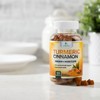 Turmeric Curcumin Supplement Gummies with Ginger & Cinnamon, 95% Curcuminoids