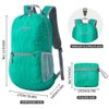 ZOMAKE Folding Backpack, 2.8 gal (10 L) Small Outdoor Backpack,