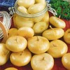 Cipollini Yellow Onion - Coin Shaped Sweet Onion - 400