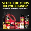 Raid Ant & Roach Killer 26, Fragrance Free Bug Killer