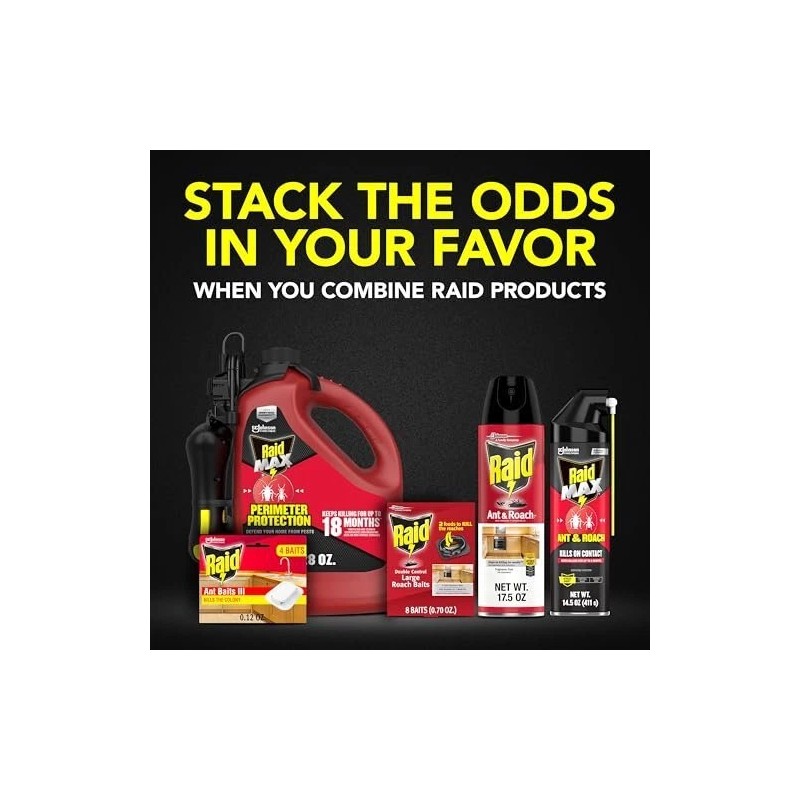 Raid Ant & Roach Killer 26, Fragrance Free Bug Killer