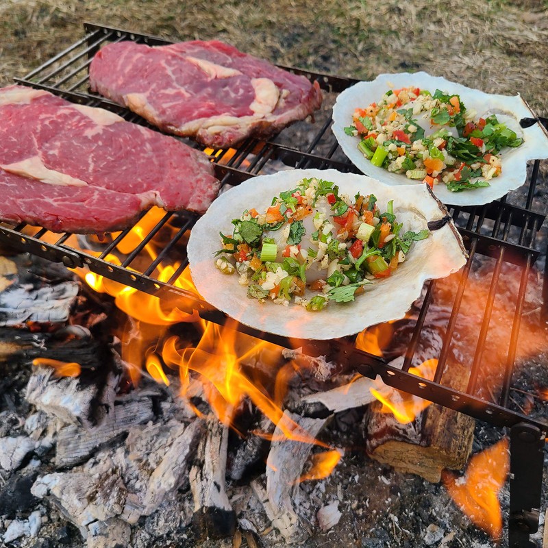 Bitty Big Q Stainless Steel Ultra Compact Portable Lightweight Camping