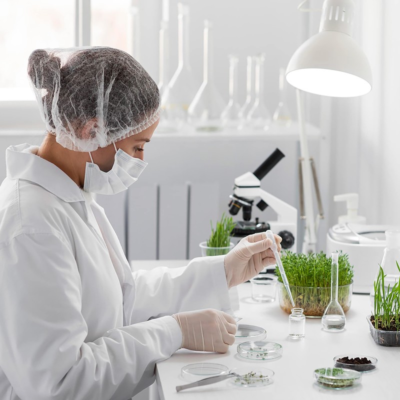 Herboxa Lung Word Multiple Packs (2x) Lung Herb Dietary Supplement