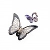 Butterfly Hair Clips, 2.95 Inch Cute Hair Clips for Women's