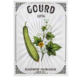 Luffa Gourd Seeds for Planting | Non-GMO & Heirloom Seeds | Illustrated Seed Packet with Growing Instructions by Rainbow Heirloom Seed Co.