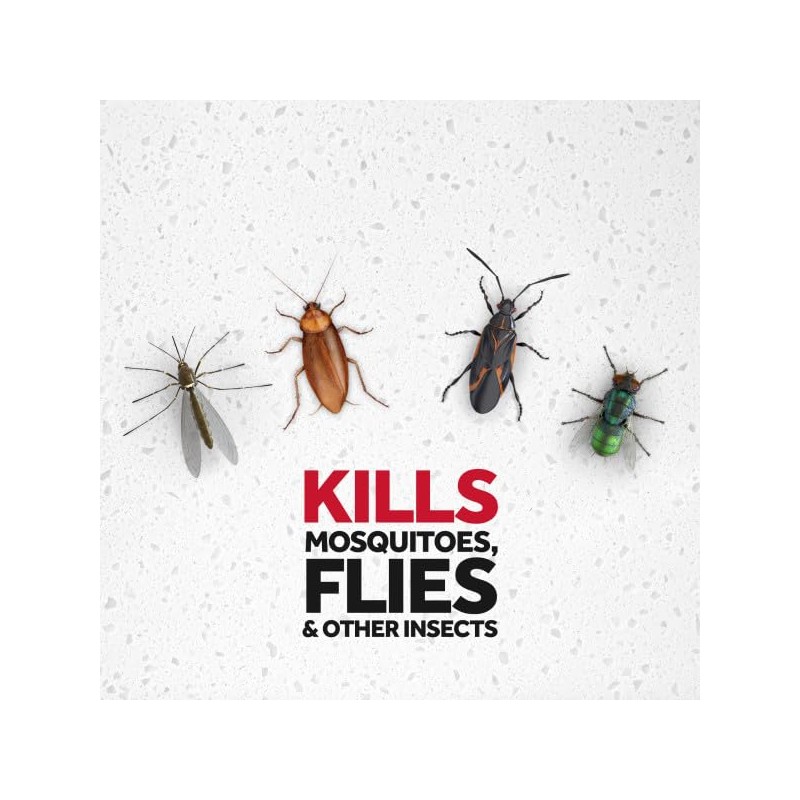 Raid House and Garden Insect Killer Insecticide Aerosol Spray -