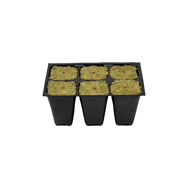 The Hydroponic City Seed Starter Tray, 1440 Cells (240 Trays