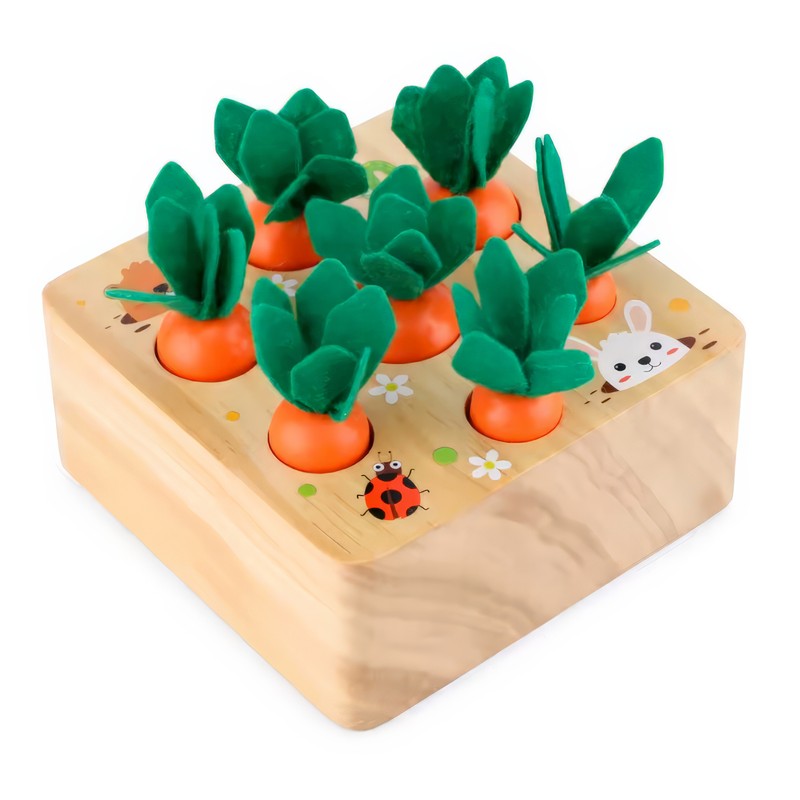 Educational Wooden Montessori Development Toys for Toddlers – Early Learning
