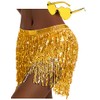 Sequin Skirt Fringe Skirt Belly Dance Hip Skirt Rave Party