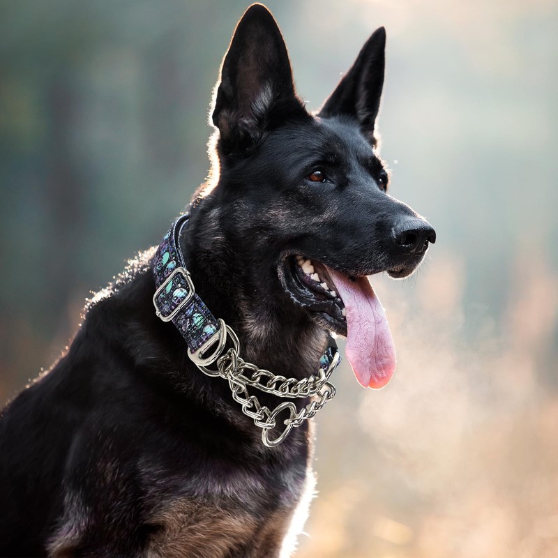 Martingale Dog Collar with Chain,Skull Reflective Nylon Soft Padded Adjustable