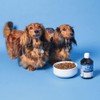 Pooch & Mutt Pooch & Mutt - Natural Salmon Oil