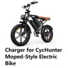 coming data ac adapter fast 3A battery Charger for Cychunter
