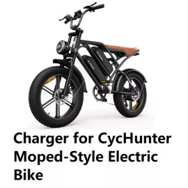 coming data ac adapter  fast 3A battery Charger for Cychunter Moped electric bike