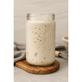 Great Grandmas San Fran Sourdough Starter Gluten-Free Organic Sourdough Starter | Ancient San Francisco Culture 240+ Yrs |