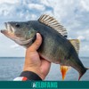 4 Perch Gambler Mini Pilker Wobbler Perch Fishing Accessories
