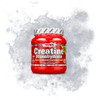 AMIX Creatine Monohydrate - 100% Micronised Creatine Powder, Increases Physical
