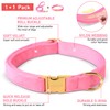 GAMUDA Collar y correa de terciopelo para perro, súper suave