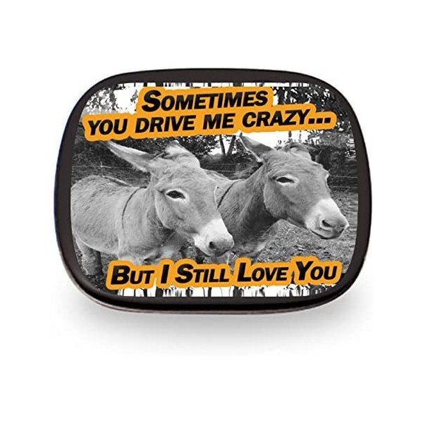 You Drive Me Crazy But I Still Love You Mints – Funny for Friends Funny Mint Tins Stocking Stuffers for Adults Teens Kids Wintergreen Mints Friendship Relationship I’m Sorr