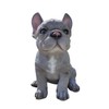 Vivid Arts - Pet Pals Blue French Bulldog Home or