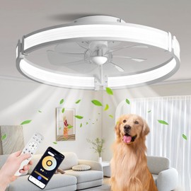 BAYSQUIRREL Ceiling Fans with Lights and Remote, Dimmable Bladeless Ceiling Light, 3 Colors 6 Speeds Reversible, Modern Low Profile Flush Mount Ceiling Fan for Living Room