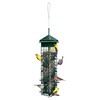Squirrel Solution200 Squirrel-proof Bird Feeder w/6 Feeding Ports, 3.4-pound Seed
