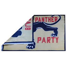 Trade Winds Black Panther Party Premium Quality Heavy Duty Fade Resistant 100D Woven Poly Nylon Flag 3x5 3'x5' Banner Grommets (RUF)